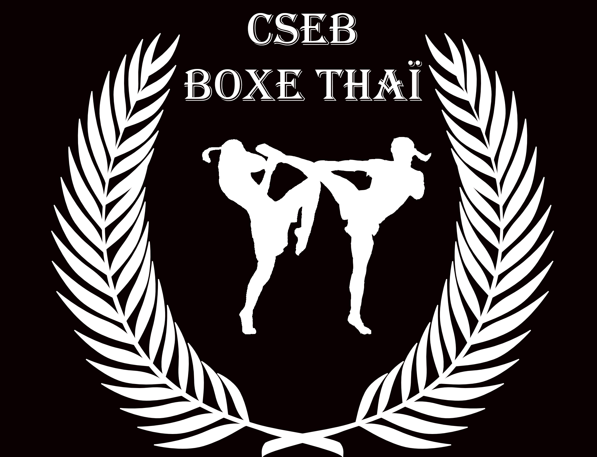 CSEB Boxe Thaï